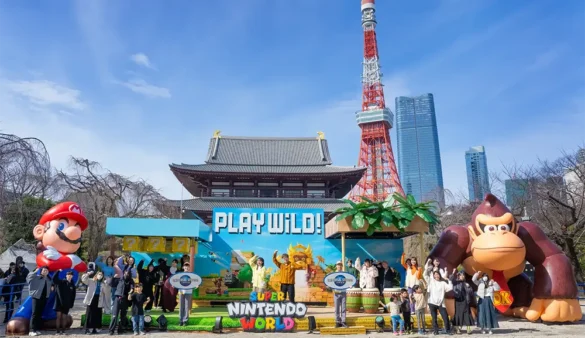 Donkey Kong Country Play Wild