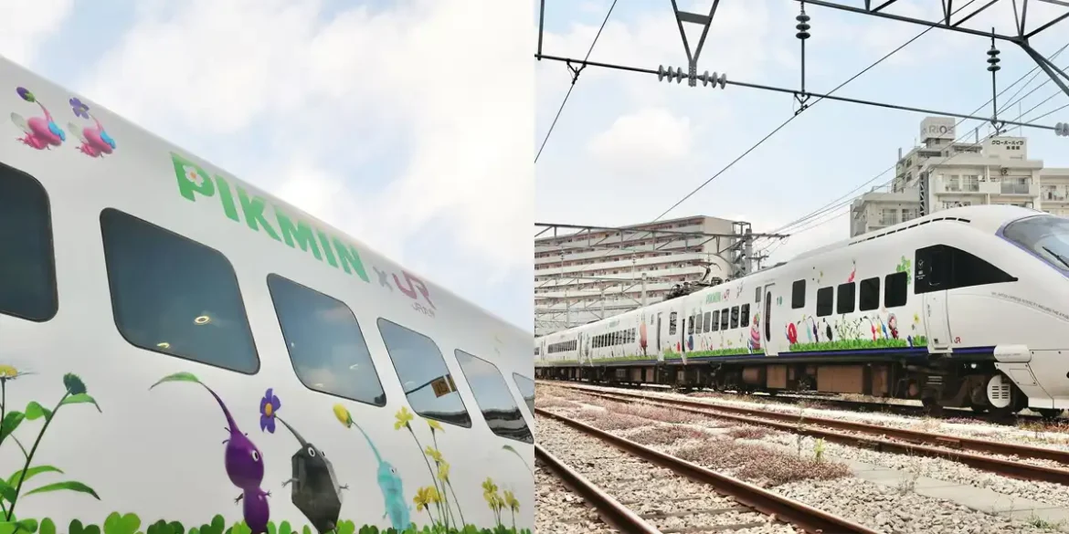 Tren de Pikmin Real